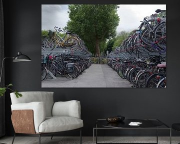 Nederland fietsland! van Cilia Brandts