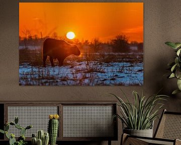 Zonsondergang Blauwe Kamer II van Sander Peters