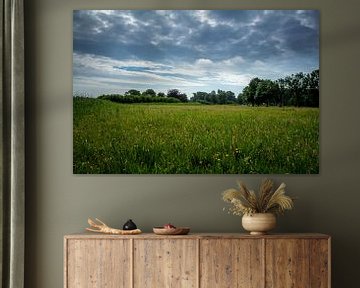 Landschap met bewolkte lucht van Jaap Mulder