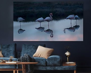 Weerspiegeling Flamingo's sur Els Van den Kerckhove-Verhoeven