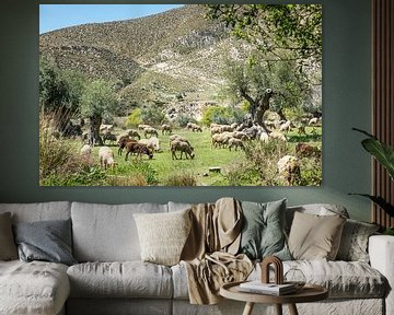 kudde schapen in de natuur van Andalusie von ChrisWillemsen