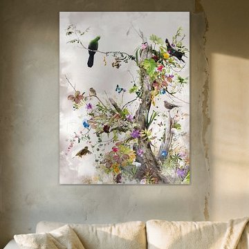 Aerius (vu à vtwonen) sur Jesper Krijgsman