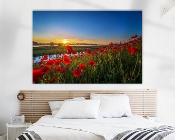 Poppy Colors I van Sander Peters