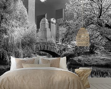 New York Central Park by Kurt Krause
