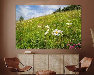 Flower Meadow sur Coen Weesjes