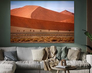 NAMIBIA ... Namib Desert  Dunes II van Meleah Fotografie