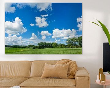 Landscape with field, trees and clouds