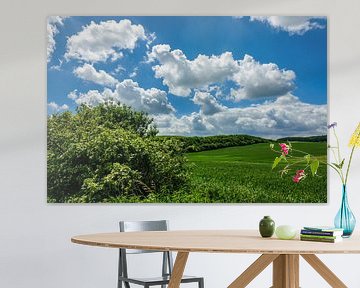 Landscape with field, trees and clouds