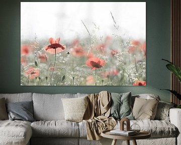 Poppies by Niels Barto