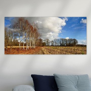 Landschaft mit Birken