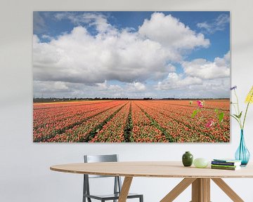 Flowering spring flowers in nature by Maurice de vries