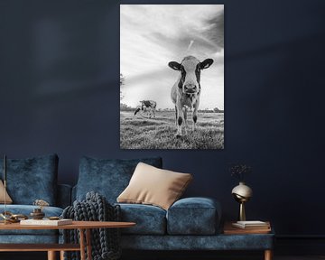 Nieuwsgierige koe in Nederlands weiland (zwart-wit) von Kaj Hendriks