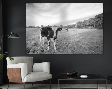 Cow in Dutch meadow (black and white) sur Kaj Hendriks