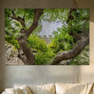 Kasteelmuur Montemor-o-Velho, Portugal von Kaj Hendriks