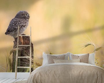 Think! I am the future. by Kris Hermans