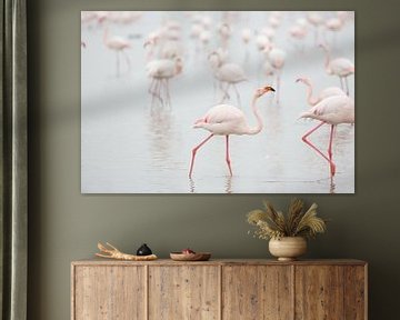 Flamingo's in de ochtend van Kris Hermans