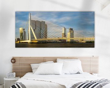 Erasmusbrug 