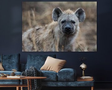 Hyena van Ronne Vinkx