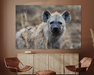 Hyena van Ronne Vinkx