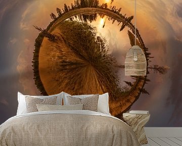 Kampina in stereografische projectie