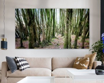 Enchanted Forest: Eine mystische Oase