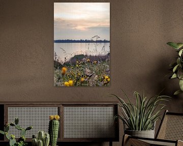 Niederländische Naturlandschaft im Delta von Fotografiecor .nl