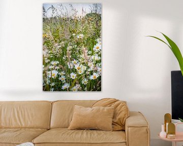 Fleurige lentebloemen in het gras