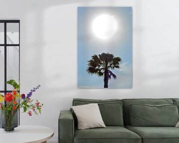 Sunny palmtree von Ron Steens