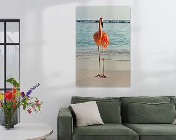 Flamingo sur Ron Steens