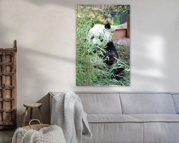 Panda Xing Ya  deel 4 panda bear
