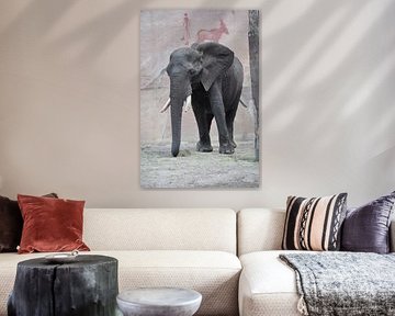 olifant elephant