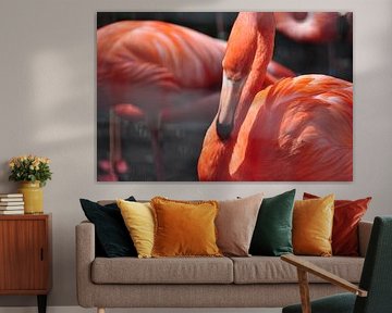 Flamingo