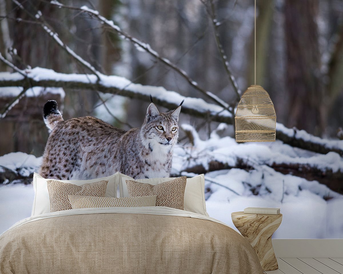 Raumvorschau