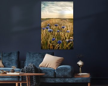 Blue field flowers in the high grass along the side of the road by Fotografiecor .nl