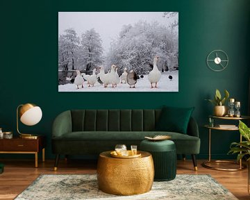 Oranje Wit von Gert Bultman