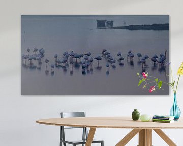 Flamingo's by Els Van den Kerckhove-Verhoeven