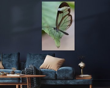 Glas vlinder van Arnold van Leeuwen