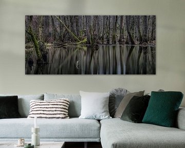 Reflection forest van Davy Sleijster