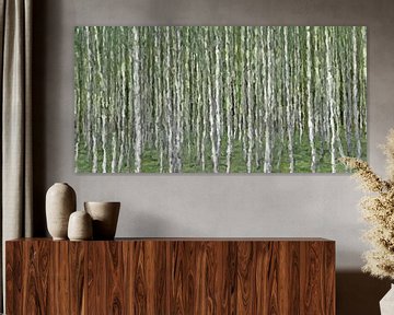 Birch forest abstract