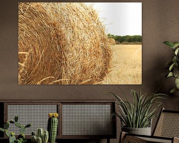 Hay bale France