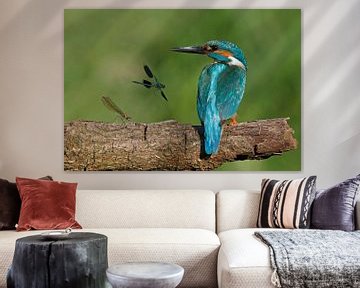 Ijsvogel met juffers von Gejo Wassink