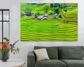 Sa Pa, Vietnam van Richard van der Woude