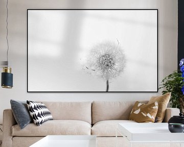 paardenbloem dandelion