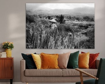 Rice fields of Jatiluwih are harvested by Loris Photography