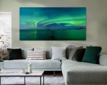Nordlichter, Polarlicht oder Aurora Borealis im nächtlichen Himmel über Senja von Sjoerd van der Wal