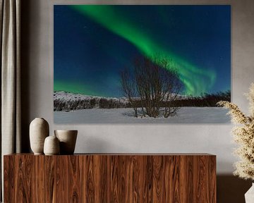  Nordlichter, Polarlicht oder Aurora Borealis im nächtlichen Himmel über Senja von Sjoerd van der Wal