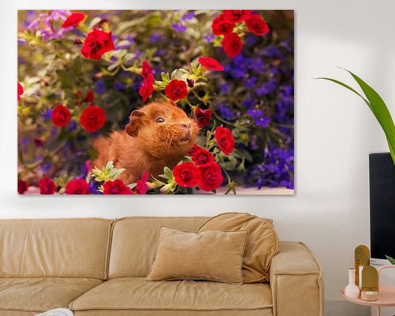 Aperçu de la chambre