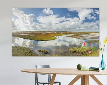Ternaard Reflectie Waddenzee Nederland van R Smallenbroek
