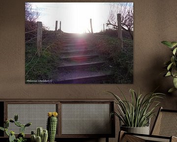 Trap naar zonneschijn