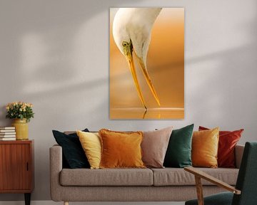 Portrait of Great egret by Nature in Stock